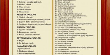 136b3749caa5b85978c949c7c17e3337