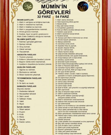 136b3749caa5b85978c949c7c17e3337