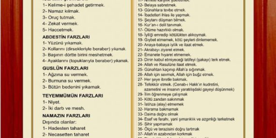 136b3749caa5b85978c949c7c17e3337