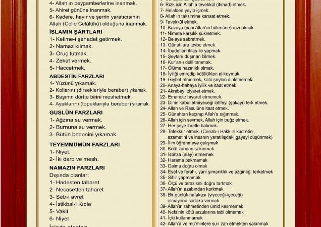 136b3749caa5b85978c949c7c17e3337