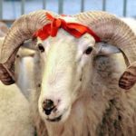 6009875badcdeb1e98572f5d