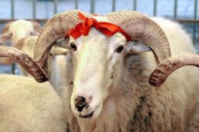 6009875badcdeb1e98572f5d