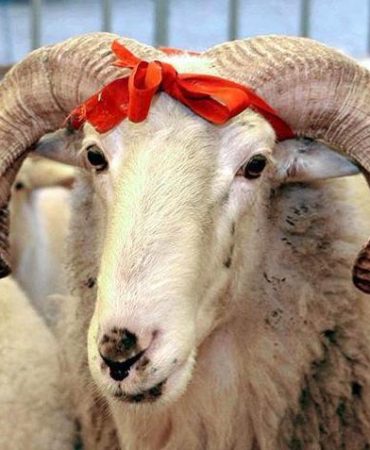 6009875badcdeb1e98572f5d