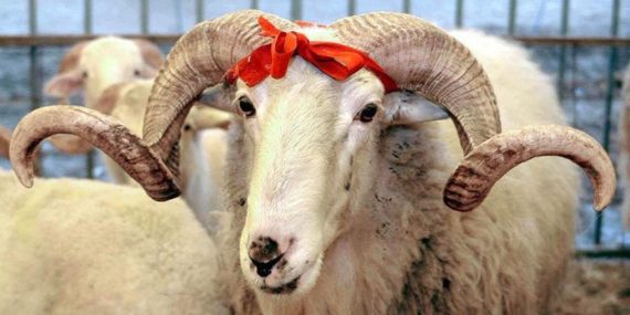 6009875badcdeb1e98572f5d