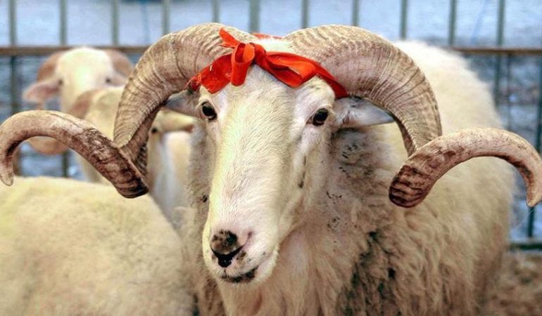 6009875badcdeb1e98572f5d