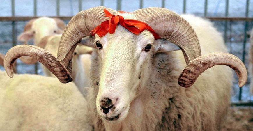 6009875badcdeb1e98572f5d