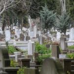 61146e4a86b244345060e564