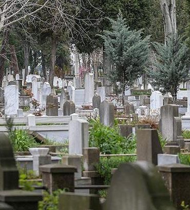 61146e4a86b244345060e564