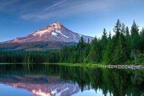 6207047445d2a0c0140a7b97