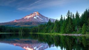 6207047445d2a0c0140a7b97