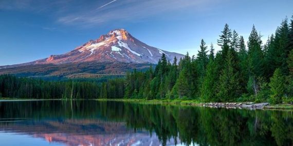 DÜNYEVİ VE UHREVİ KURTULUŞUMUZ.