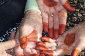 7cec33293d40698fa5515629c5e6d213