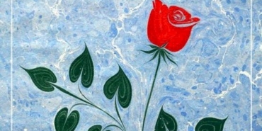 802000-images-31-1280x960