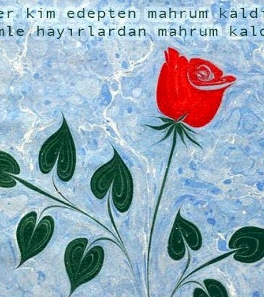 802000-images-31-1280x960