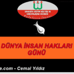 Cemal Yeni-12