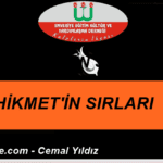 Cemal Yeni-12