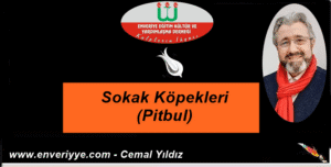 Cemal Yeni-12