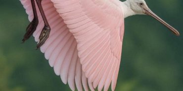 FB_IMG_1756886586182