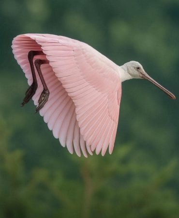 FB_IMG_1756886586182