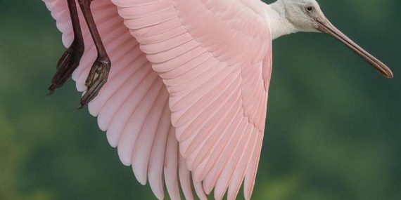 FB_IMG_1756886586182