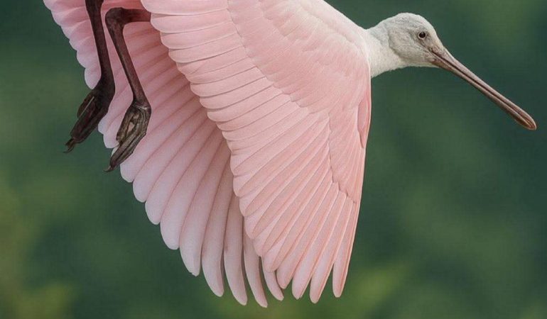 FB_IMG_1756886586182