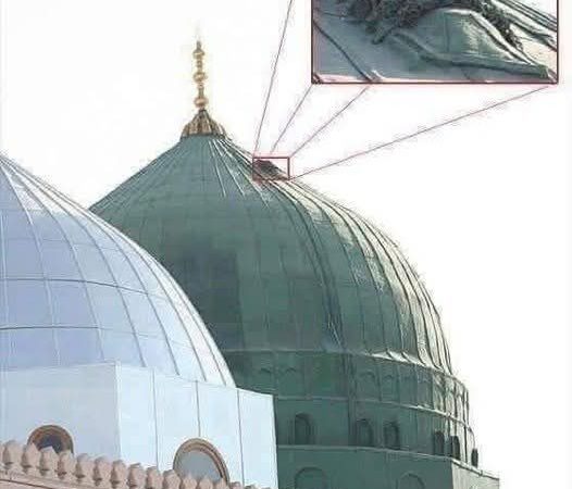 FB_IMG_1772238455196