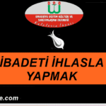 Hacı Baba