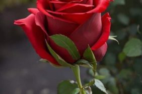 IMG-20251010-WA0026