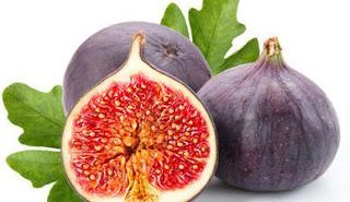 c408c437532bf5a57101830718002173