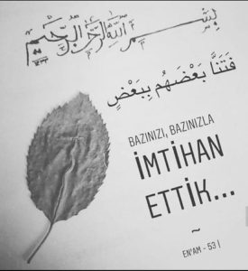 eeda06e0d6c6ea59eadad36b66bcff41