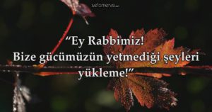 sefamerve-amenerresulu-anmalı-meali-ayeti-önemi