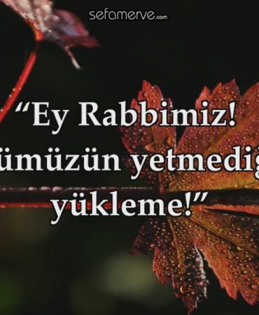 sefamerve-amenerresulu-anmalı-meali-ayeti-önemi