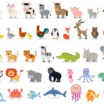 vector illustration design template