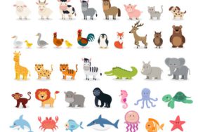 vector illustration design template