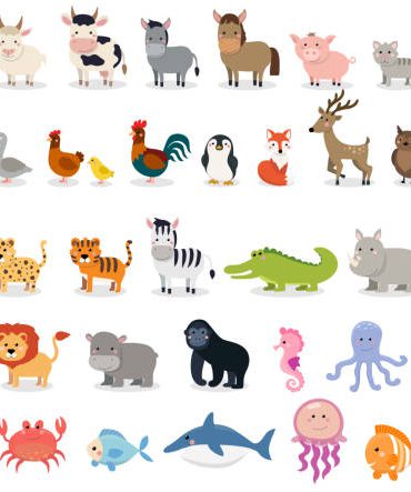 vector illustration design template