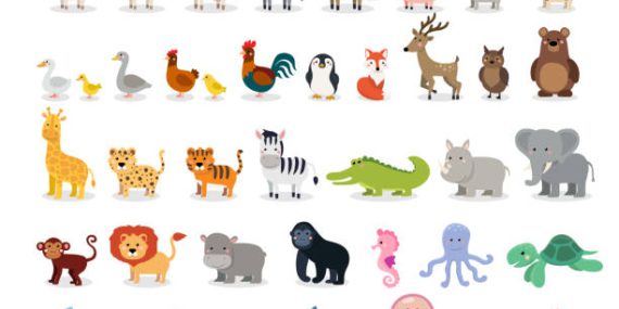 vector illustration design template