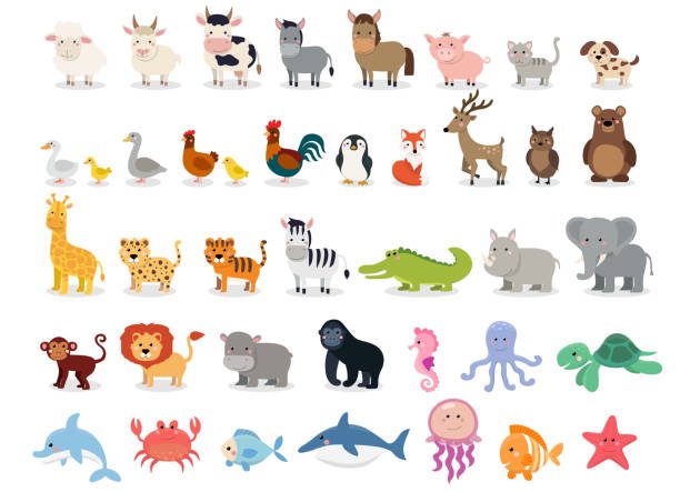 vector illustration design template